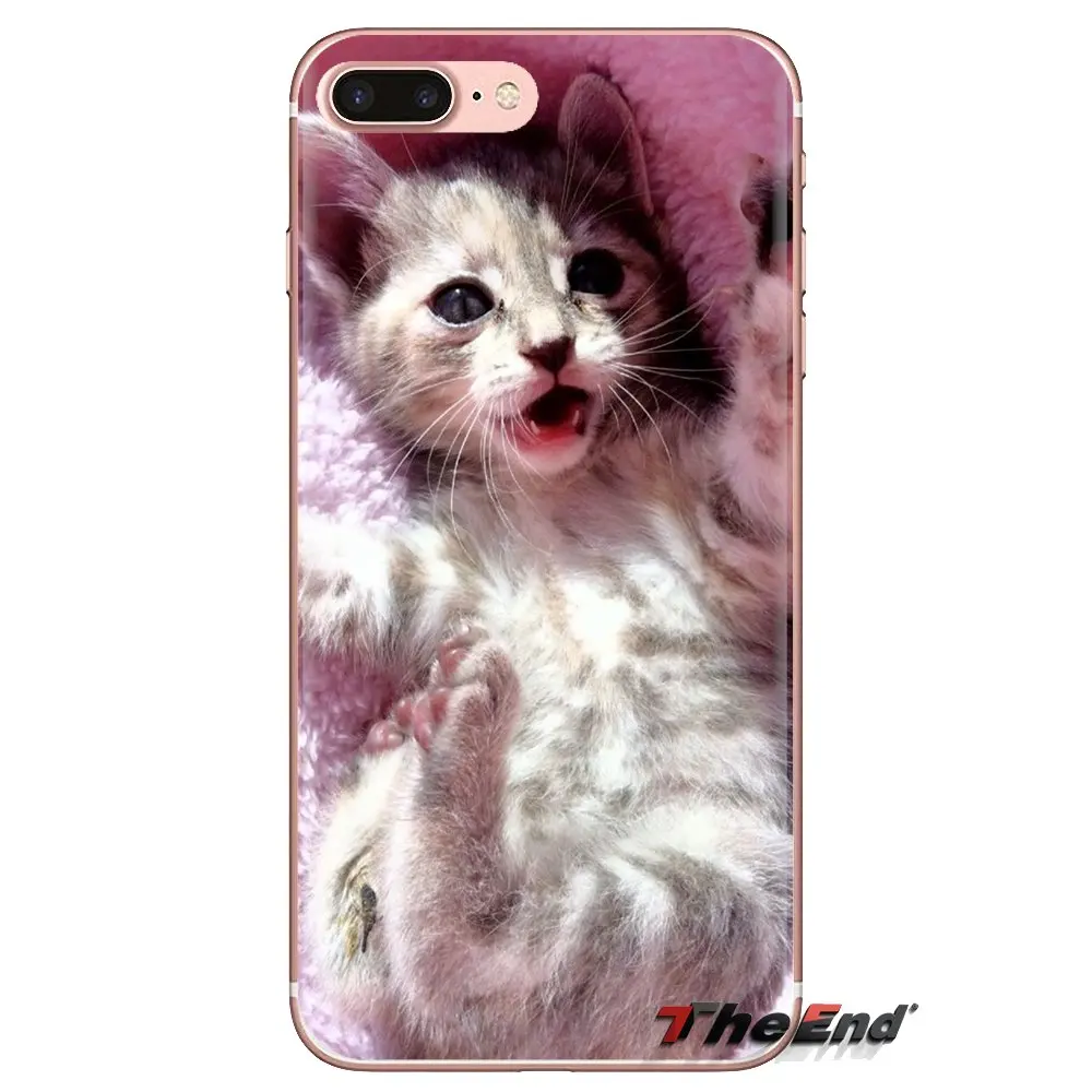 Cat wear grandmother glasses Phone Shell Covers For Sony Xperia Z Z1 Z2 Z3 Z5 compact M2 M4 M5 E3 T3 XA Aqua LG G4 G5 G3 G2 Mini |