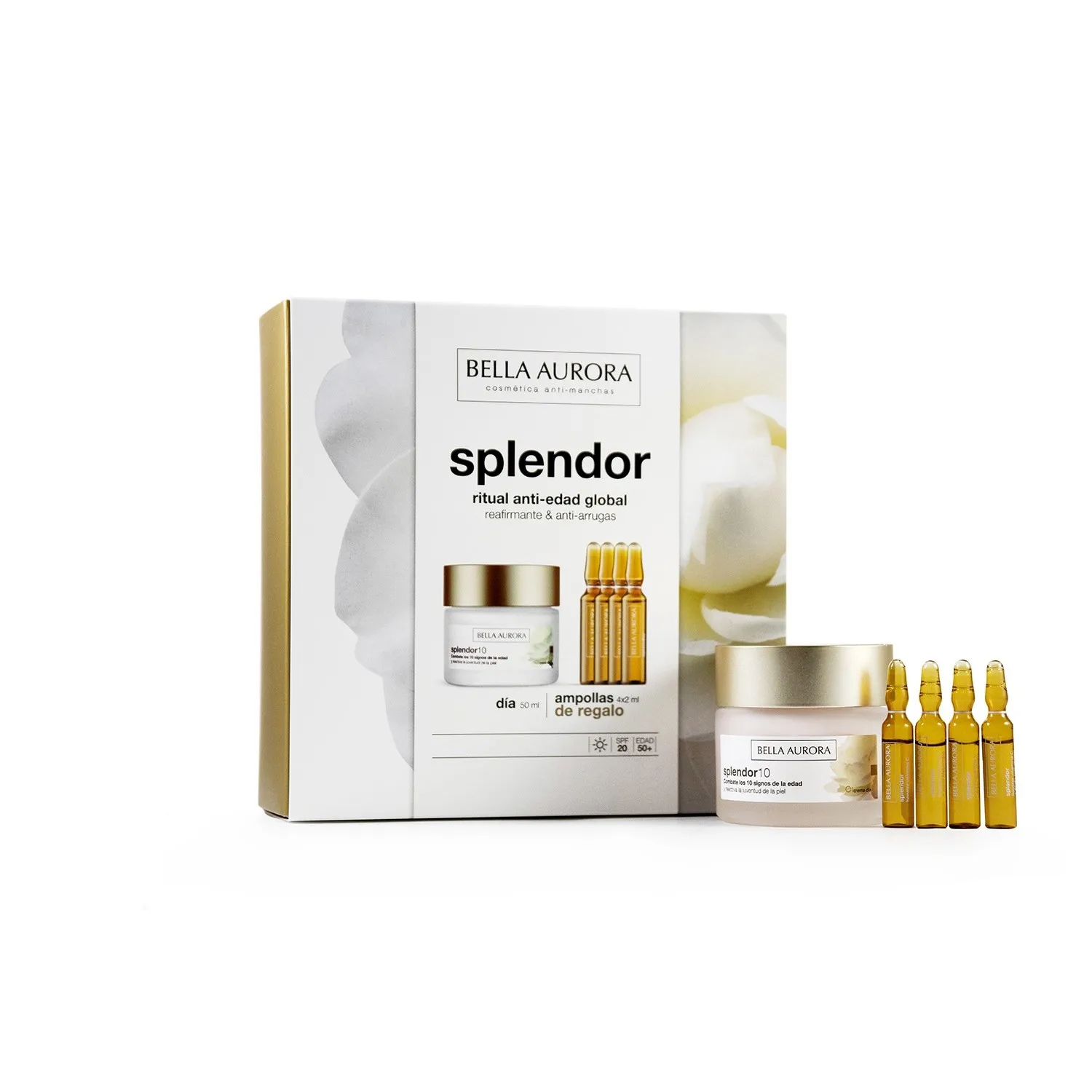 Splendor 10 Dia Lot 2 Pz u |