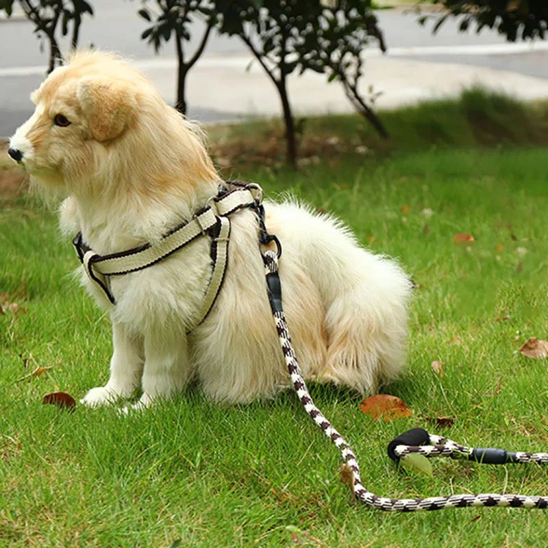 

Комплект из двух предметов: поводок для собак и кошек