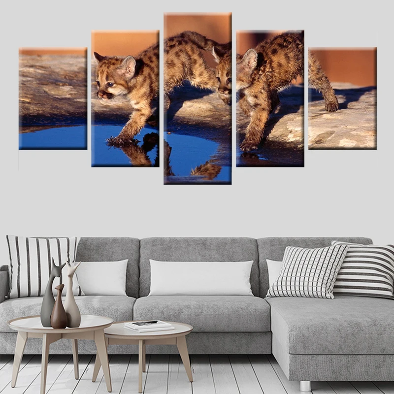 HD печати холст картины 5 панелей 2 милых котят игры воды картина плакат Wall Art для