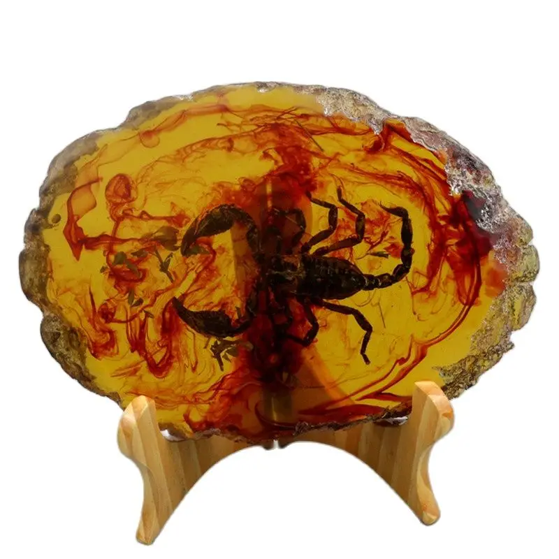 

Amber insect specimen, handicraft, stone ornament, amber insect, send bracket