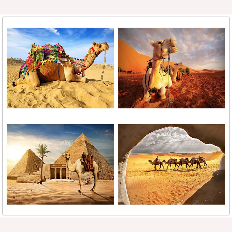 5D алмазная картина Радужный цветок бабочка вышивка крестиком Алмазная полностью