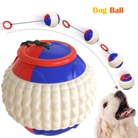 large dog interactive toys with elastic rope outdoor throw ball chew bite tooth cleaning toothbrush intimate toy for dog product