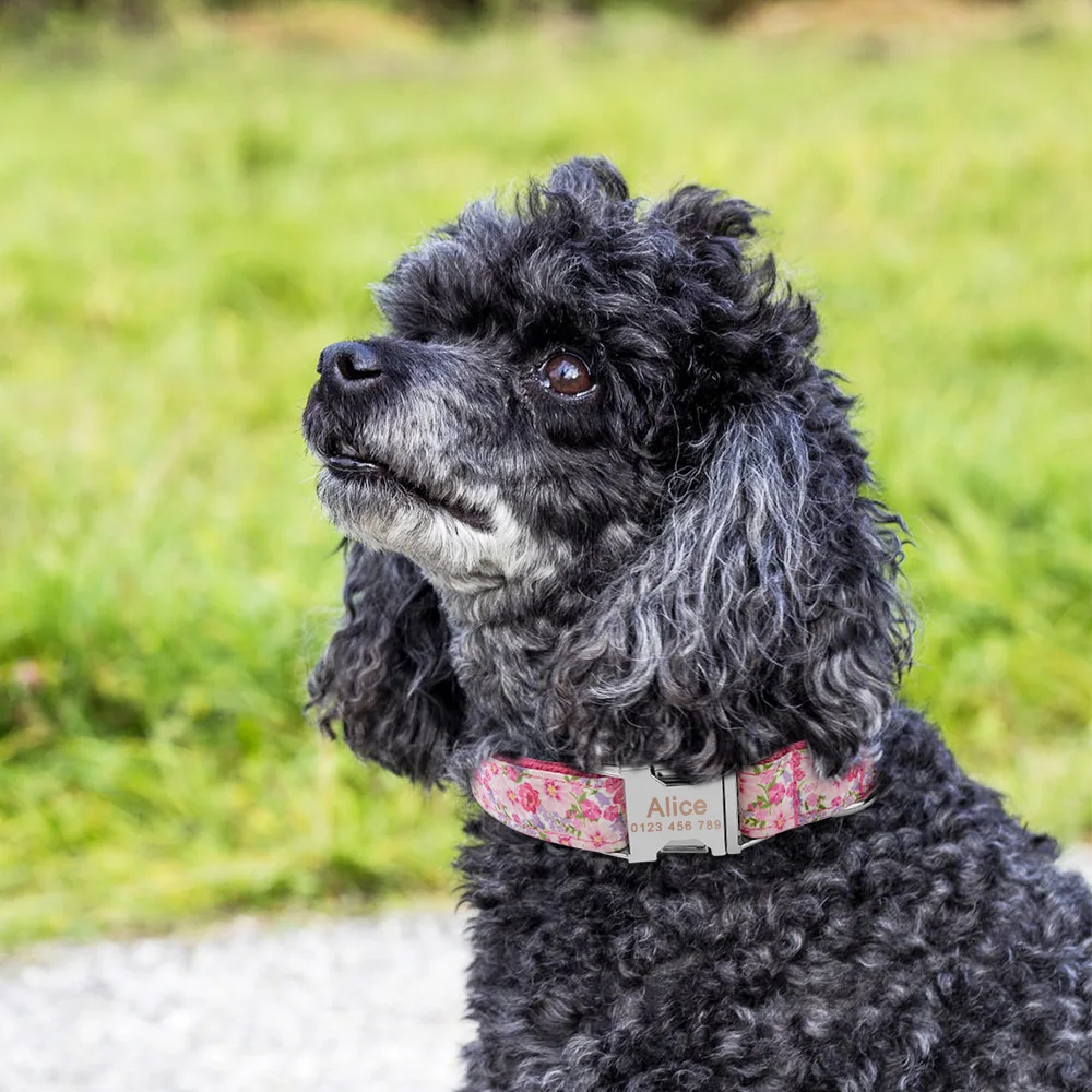 Нейлоновый персонализированный ошейник для собак с индивидуальной гравировкой