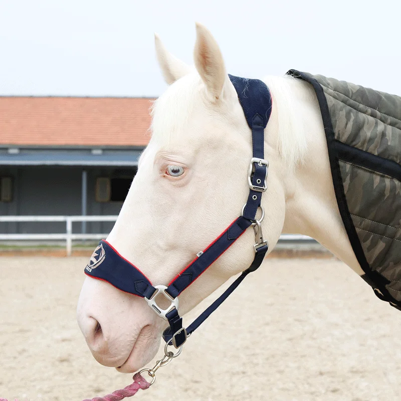 Cavassion Bridle Anti-wear bridle Adjustable Horse Halter High-quality metal parts Equestrian Equipment Ho | Спорт и развлечения