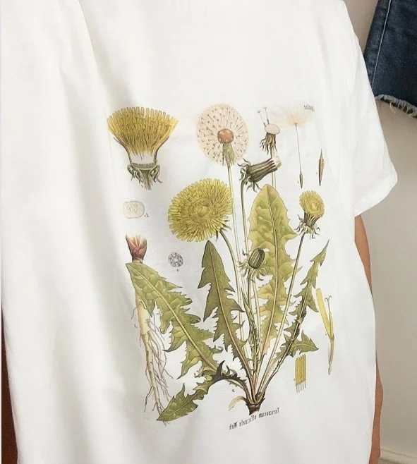 

PUDO-WW Wildflower Dandelion Print Women tshirt Cotton Casual Funny t shirt Gift For Lady Yong Girl Top Tee