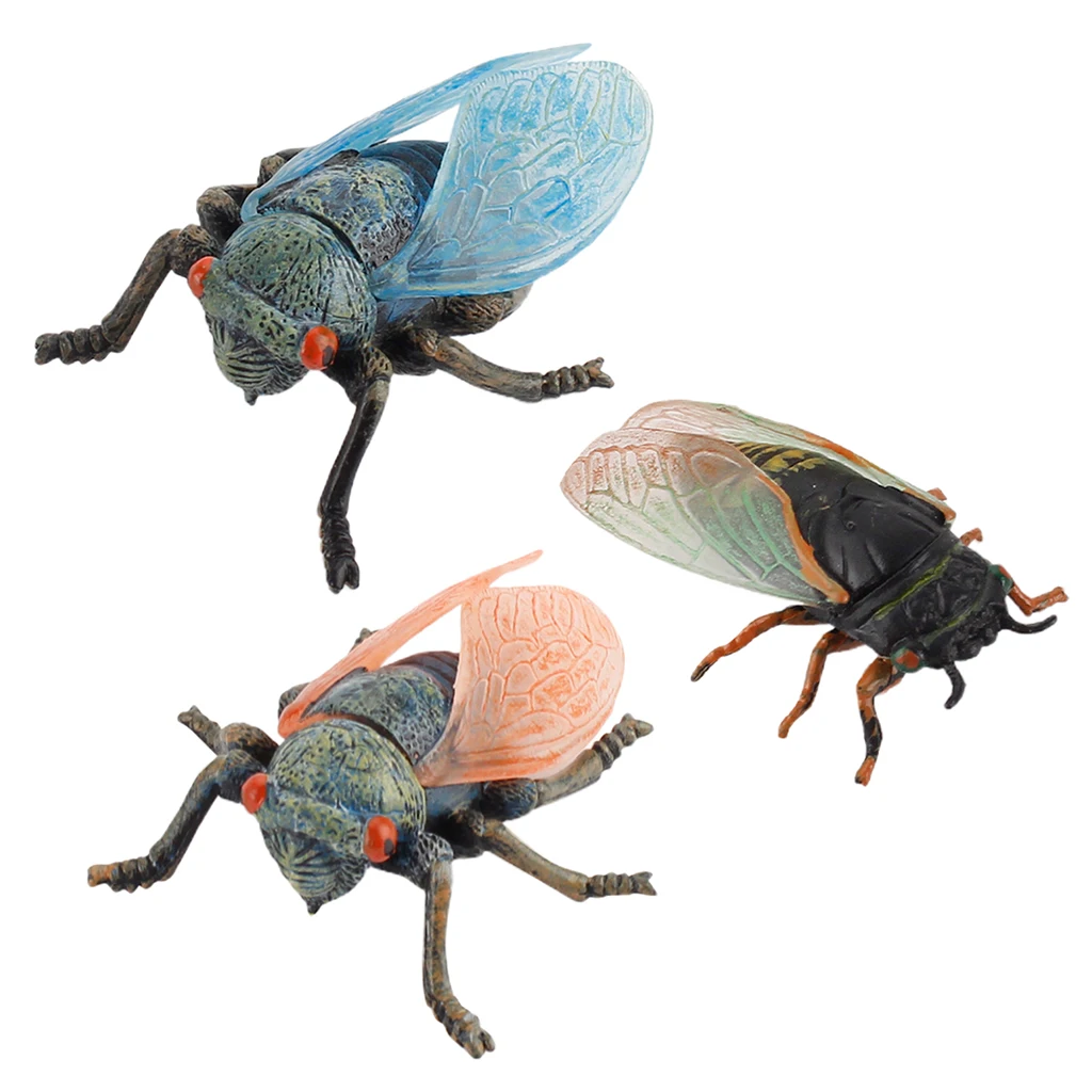 

Insects Model Plastic Fake Cicada Lifelike Insects Bugs Figurines for Kids Themed Party