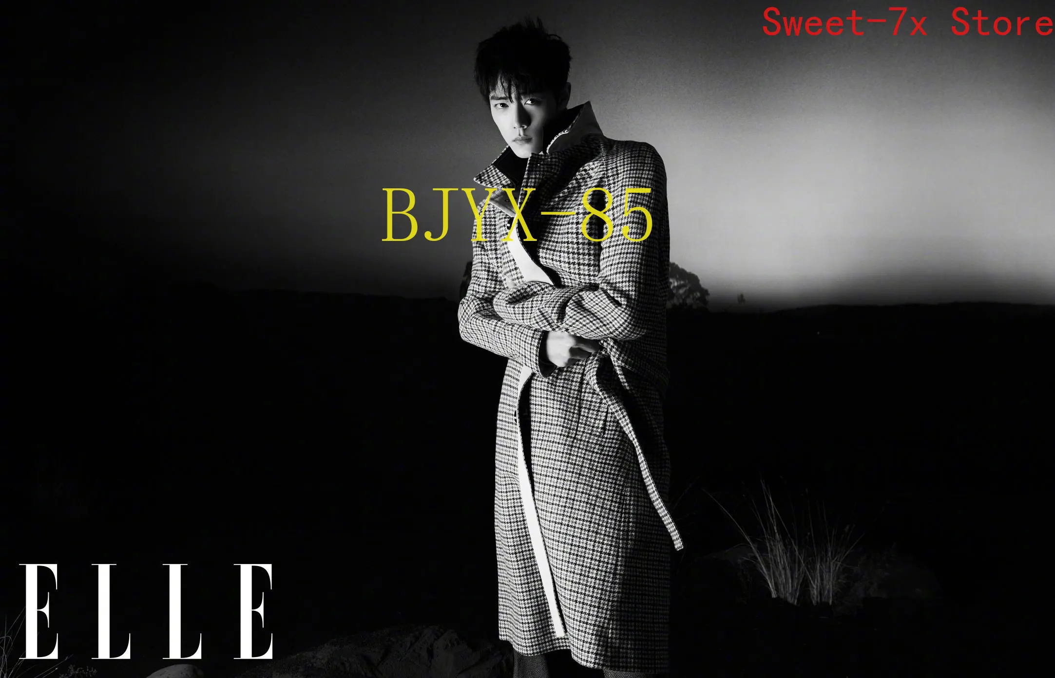 Китайская ежегодная Картина на холсте Xiao Zhan ELLE плакаты и принты в скандинавском