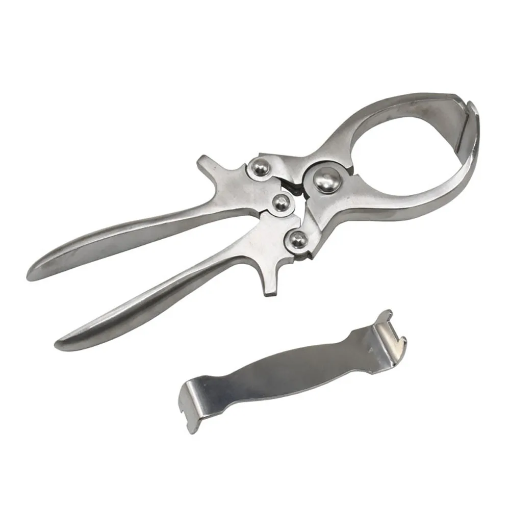 

1 Pcs Stainless Steel Without Blood Pig Sheep Castration Clamp Castration Tool Castration Forceps Veterinary Special Tools