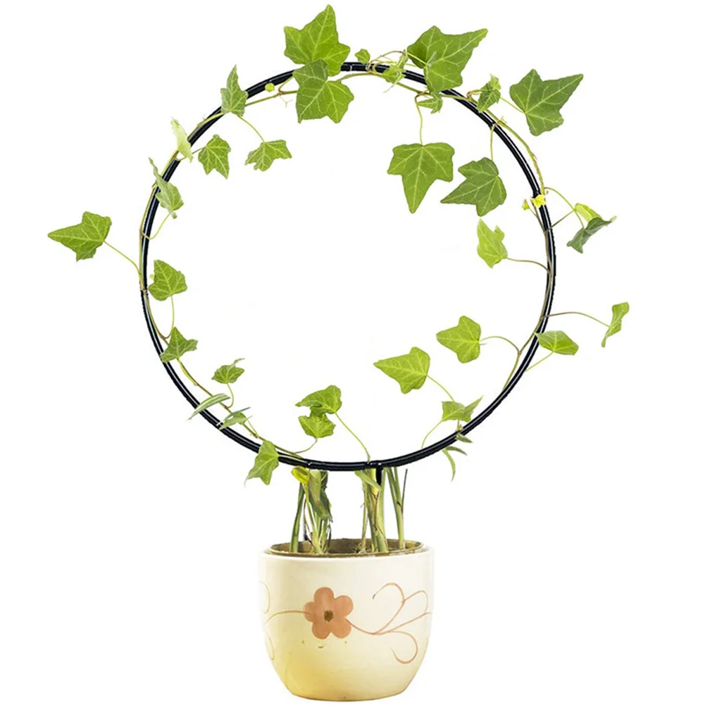 

Climbing Vine Rack Flower Plant Trellis Support Frame Love Heart Round Shaped Plant Decorative Trellis Bracket Vegetables Potted