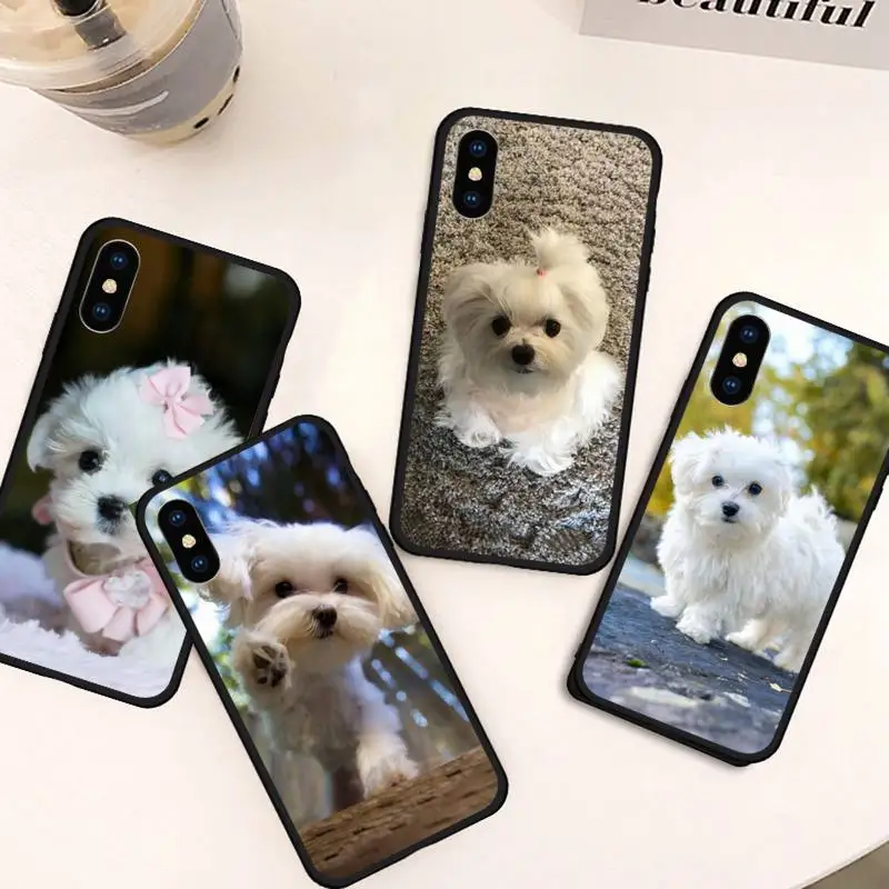 

Maltese Dog Puppy cute animal Phone Case For iphone 12 11 13 7 8 6 s plus x xs xr pro max mini