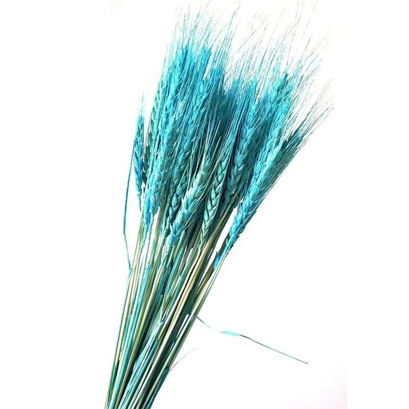 

Natural Wheat Ear Pampas Rabbit Tail Grass Farmhouse Opening Barley Real Dried Flower Bouquet Pastoral Gift Flores Preservadas