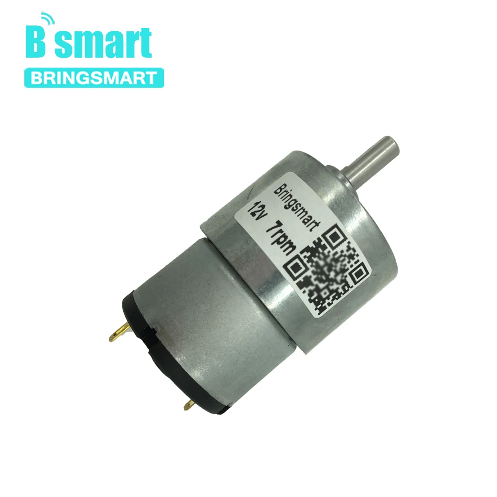 Bringsmart DC 12 24 вольт моторы с высоким крутящим моментом Реверсивный микро