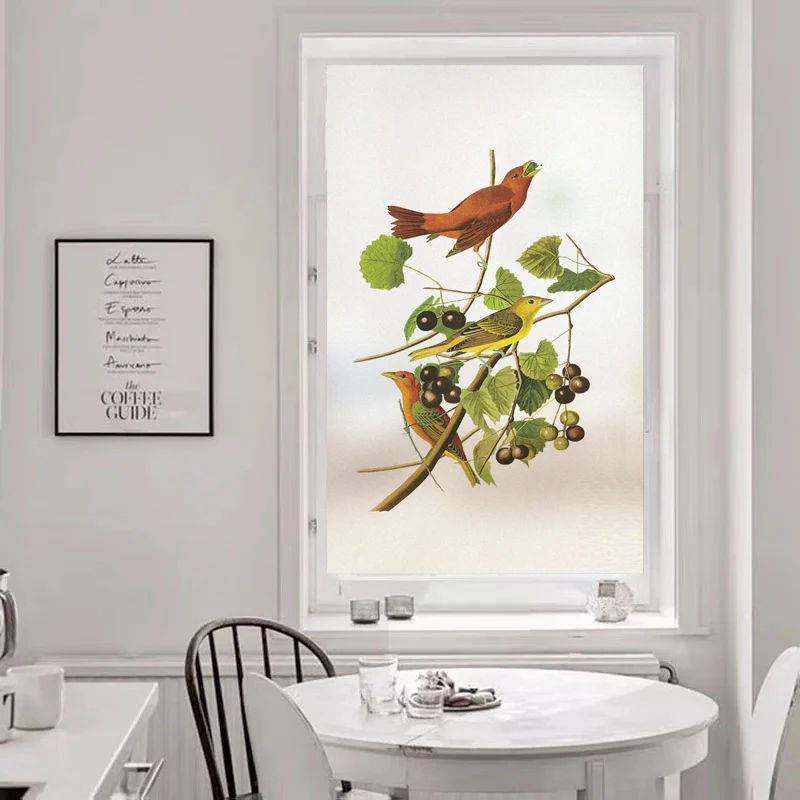 Электростатическая матовая фотопленка домашний декор дверные наклейки из