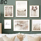 Настенная картина в скандинавском стиле, постеры с изображением хлопковых Тростников и бежевых грибов с изображением зерен песка, декор для гостиной