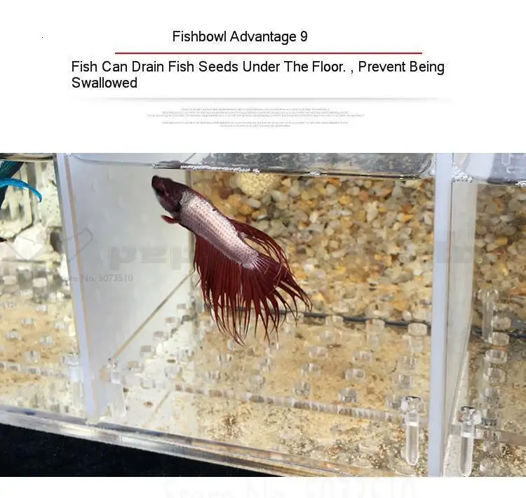 Betta аквариум Гуппи разведение инкубации изолирующая коробка акриловая специальная группа ряд цилиндр живой Рабочий стол экологическое творчество