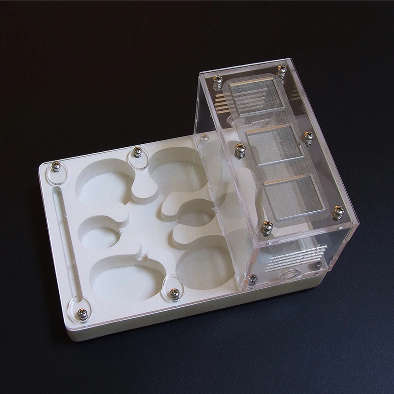 Ant Flat Nest Acrylic Farm Plus жесткая гипсовая доска ящик для насекомых Террариум