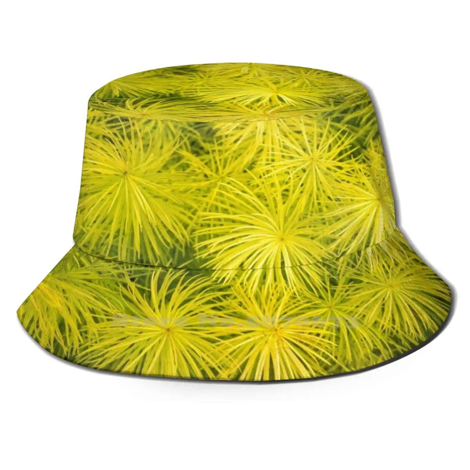 

Fascinating Bottlebrush Grasses Korean Caps Funny Beach Bucket Hats Bottlebrush Grasses Brush Grass Brushlike Tufts Brush Like