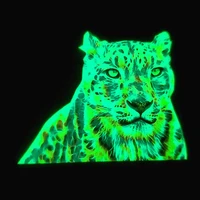 animal patch colour leopard printing luminous heat transfer clothes stickers vogue noctilucent iron on patches for clothing diy