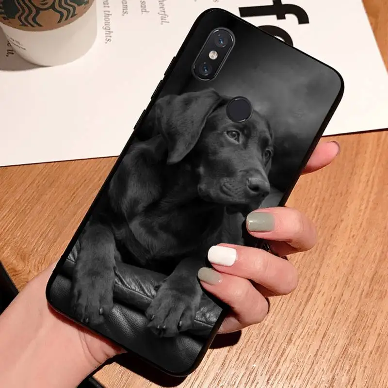 

Sad Labrador Dog cute animal high quality Phone Case shell For Xiaomi Redmi note 7 8 9 t k30 max3 9 s 10 pro lite