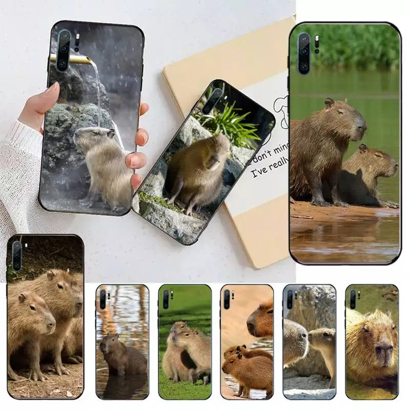 

Capybara cute animal Phone Case For Huawei honor Mate 10 20 30 40 i 9 8 pro x Lite P smart 2019 nova 5t