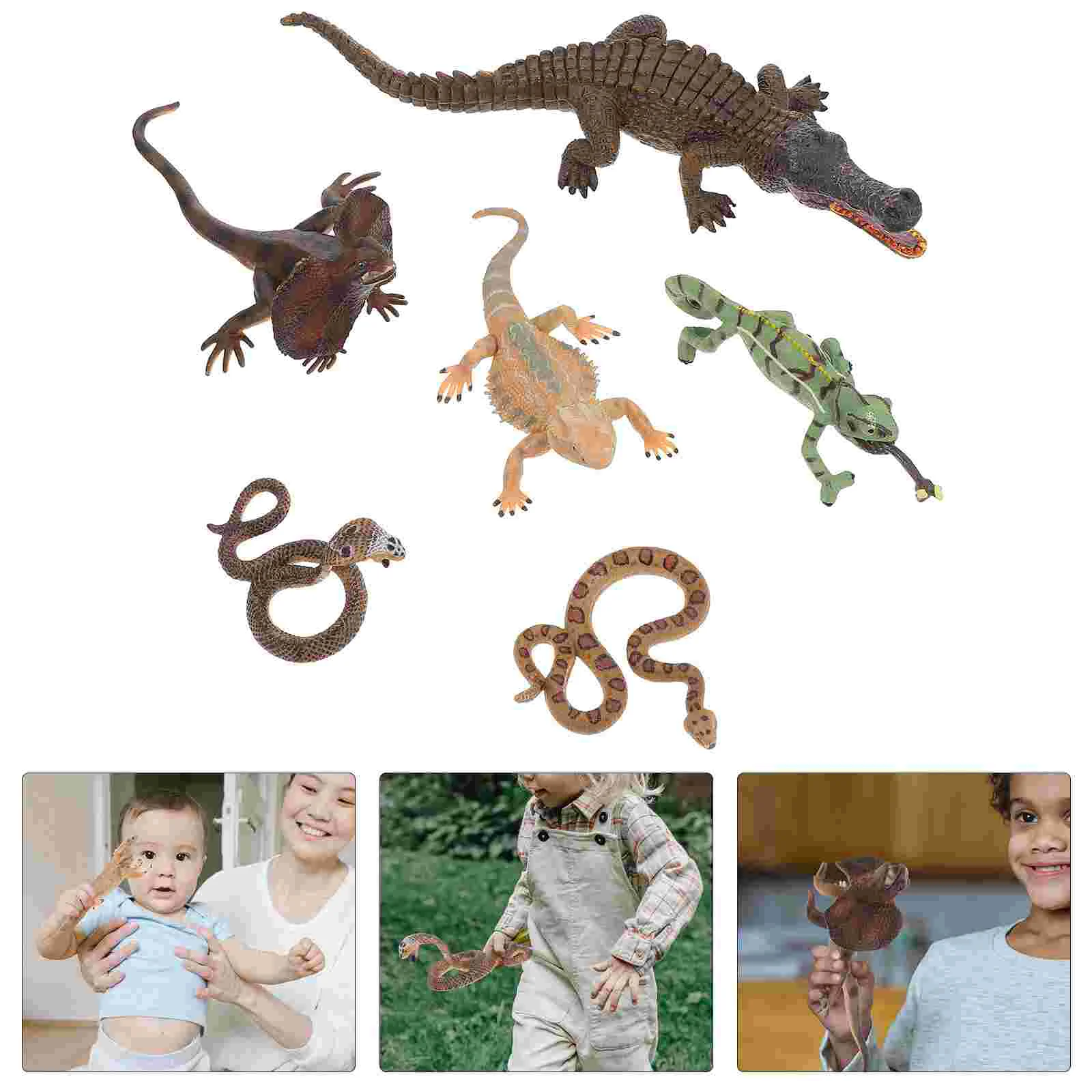 

6pcs Realistic Reptilian Toys Simulated Reptilian Plastic Reptile Model