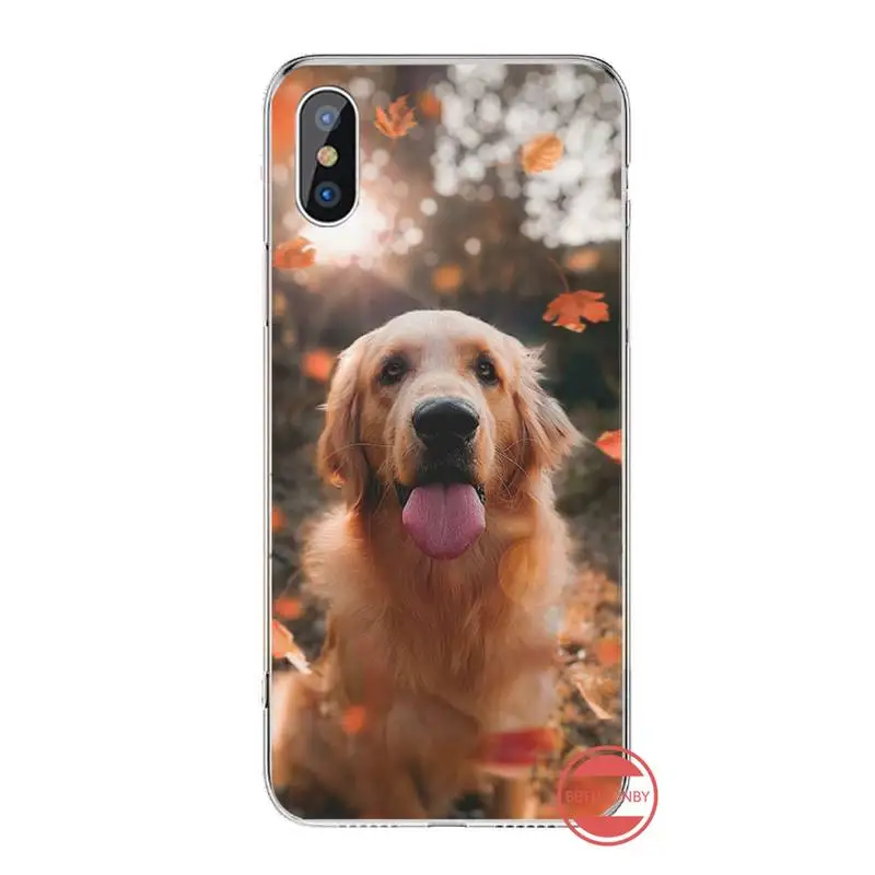

Golden retriever Phone Cases For iphone 12 5 5s 5c se 6 6s 7 8 plus x xs xr 11 pro max