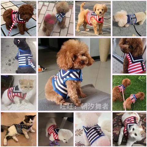 

[traction rope + chest and back] dog traction rope pet traction belt dog rope Teddy chest and back dog supplies