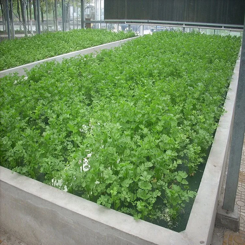 1 шт. 60*40 см пенопластовая доска Soilless культивационное оборудование в теплице плавающий плантатор с отверстиями для гидропонных овощей