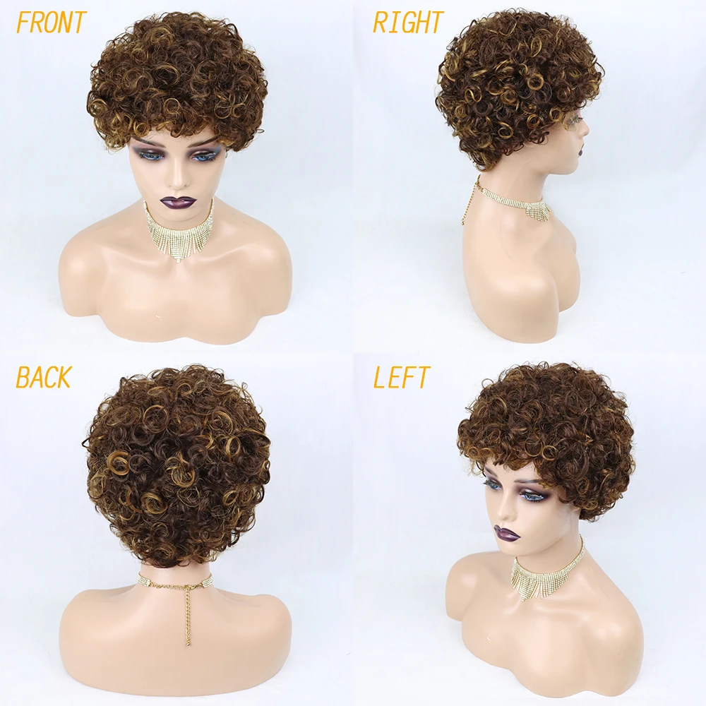 

Short Curly Human Hair Wigs 100% Brazilian Remy Hair Water Wave Wig for Black Women 1B Wet and Wavy Wig Human Hair Wigs