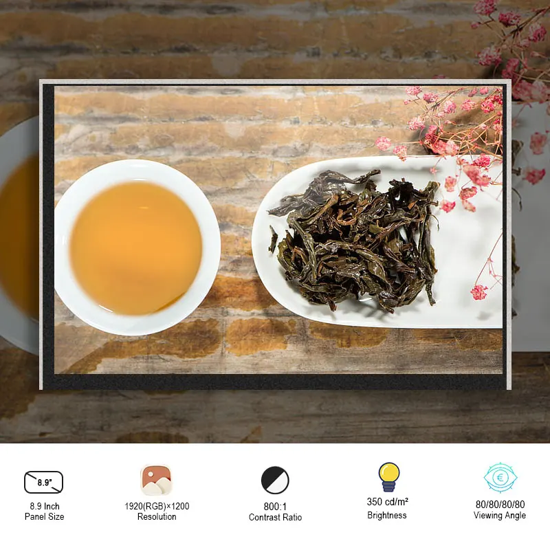 

Original Panasonic 8.9 Inch VVX09F035M10 TFT LCD Screen SRGB Resolution 1920x1200 eDP for Pad Tablet 350 Nits