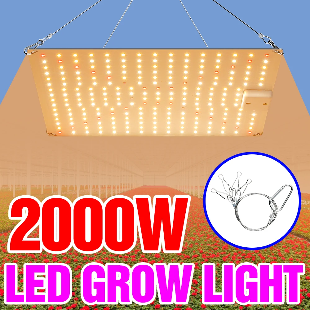 

LED Grow Lights Hydroponic Phyto Light Full Spectrum Lamp For Plants Indoor 220V Led Lighting Plants Flowers Grow Box SMD2835