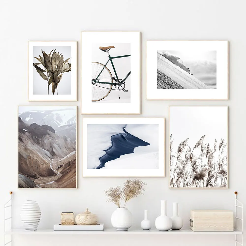 Плакаты и принты на холсте песчаные горы пейзаж сухие листья велосипед северные
