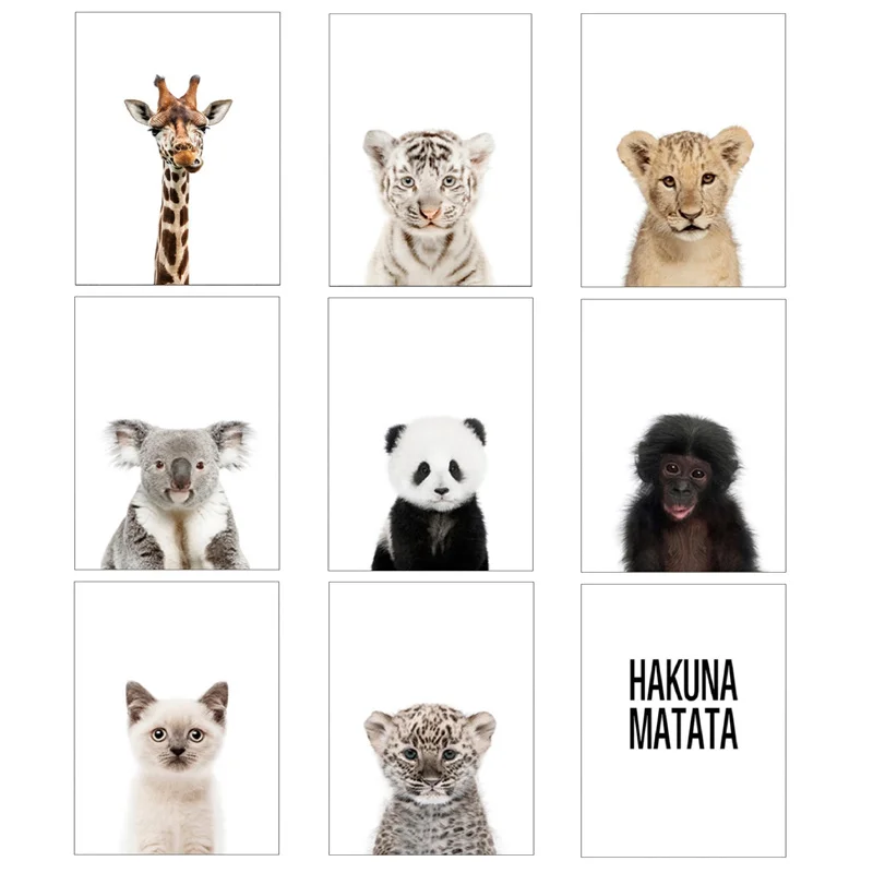 Плакат-панды с животными Настенная картина для детской спальни милая кошка