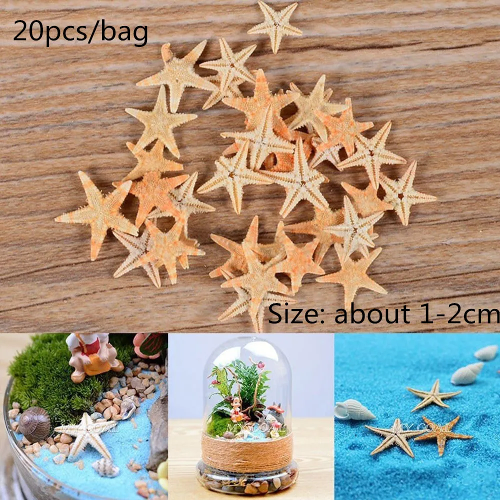 Starfish(20Pcs) Натуральные бусины в виде морской раковины, домашние украшения для самодельного изготовления, подвеска в виде раковины, ювелирные аксессуары(20-23 мм)/(18-20 мм - Цвет: Starfish(20Pcs)