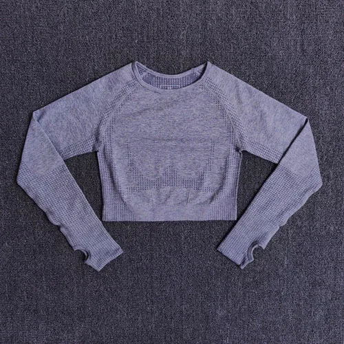 Gray blue Shirts 2 шт., женские спортивный костюм, бесшовный комплект для йоги, спортивный комплект, высокая талия, леггинсы для бега, спортивные топы для фитнеса, одежда, спортивная одежда - Color: Gray blue Shirts