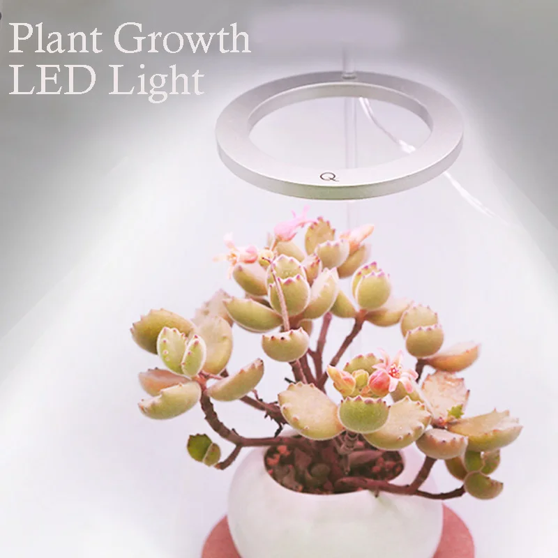 

Plant Fill Light Full-Spectrum Sun-Like Household Flower Light Growth Lamp Coloring Plant Vegetation For Indoor Plant