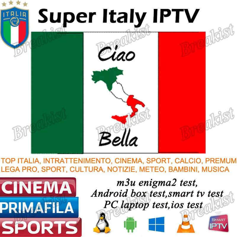Italia IP tv на 1 год Android Box Поддержка Spainish Germen Италия подписка 1000+ жизнь 2000 VODs m3u smart tv MEDIASET h96
