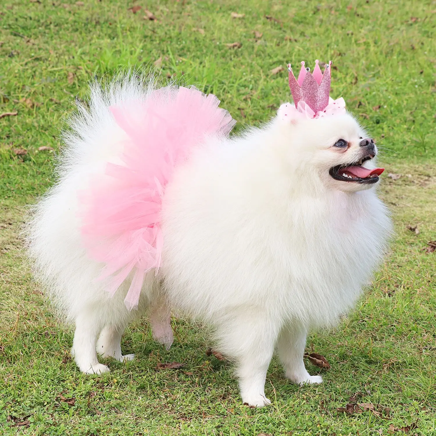 2 шт./компл. юбка пачка для домашнего питомца милые вечерние юбки пузырьки костюм