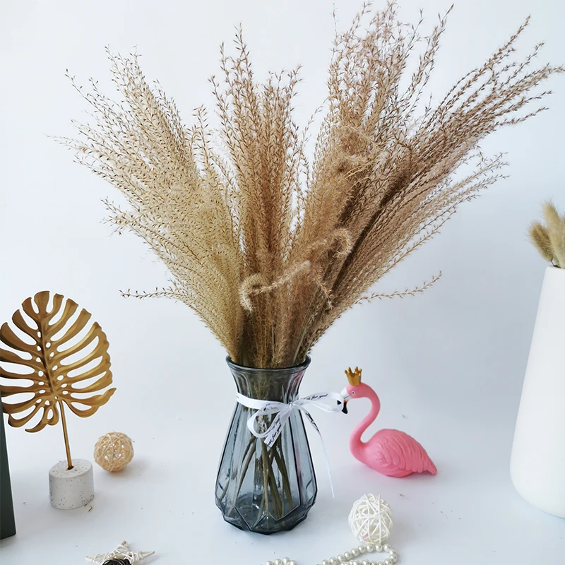 

Сушеные натуральные цветы, 15 шт./лот, тростник, букет цветов, букет для дома, свадьбы, свадебное украшение, нефрагит, булраш, реквизит для фото...