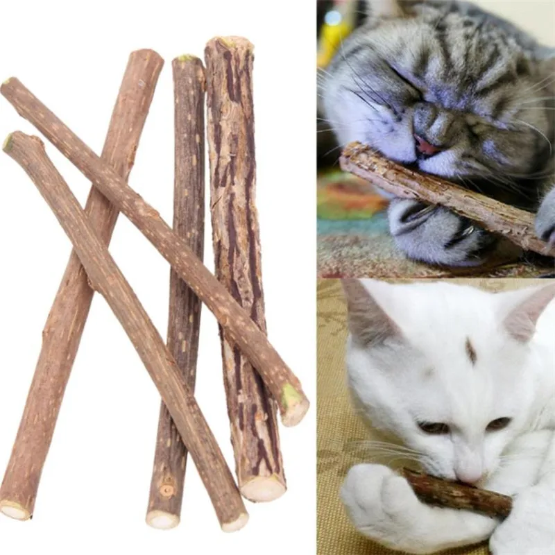 15/20 шт. зубная паста для кошек|Игрушки кошек| |