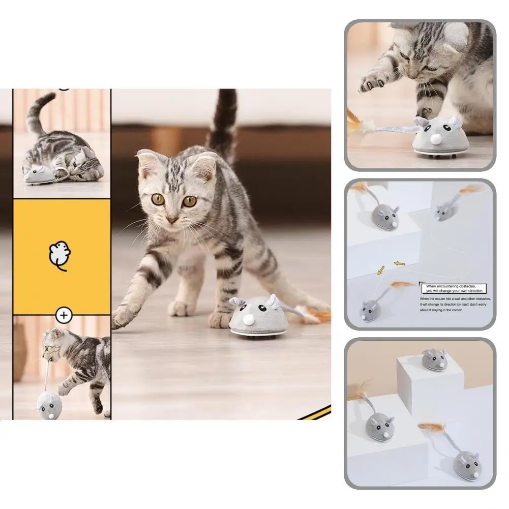 

Игрушка для котят, мини-питомец, заводная игрушка, тренировочная игрушка, тренировочная игрушка для милых кошек, игрушка для домашних живот...