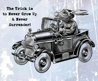 Кролик фотоальбом для скрапбукинга прозрачный силиконовый каучук сделай сам