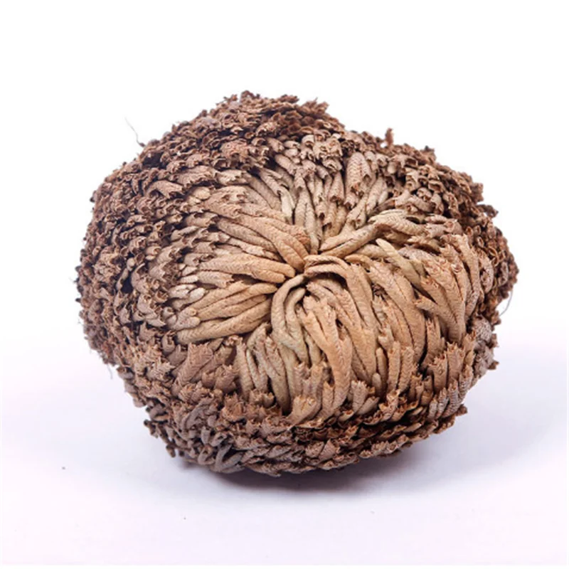 Сушеный цветок 2 шт. волшебное растение для воскресения Роза динозавра Иерихона