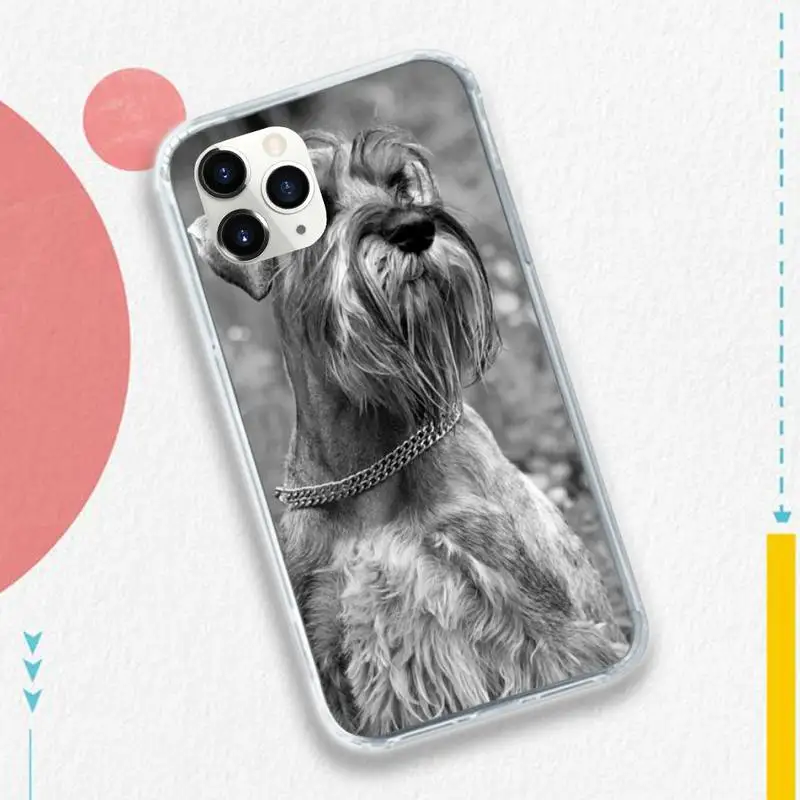 

Cute animalLovely Dogs Schnauzer Phone Case for iPhone 11 12 mini pro XS MAX 8 7 6 6S Plus X 5S SE 2020 XR