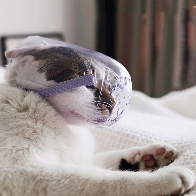 Pet Dog Poop Bag Dispenser Dog Cleaning Supplies Puppy Pick-Up Bags Holder With Rope Cleaning Waste Garbage Box Pet Products