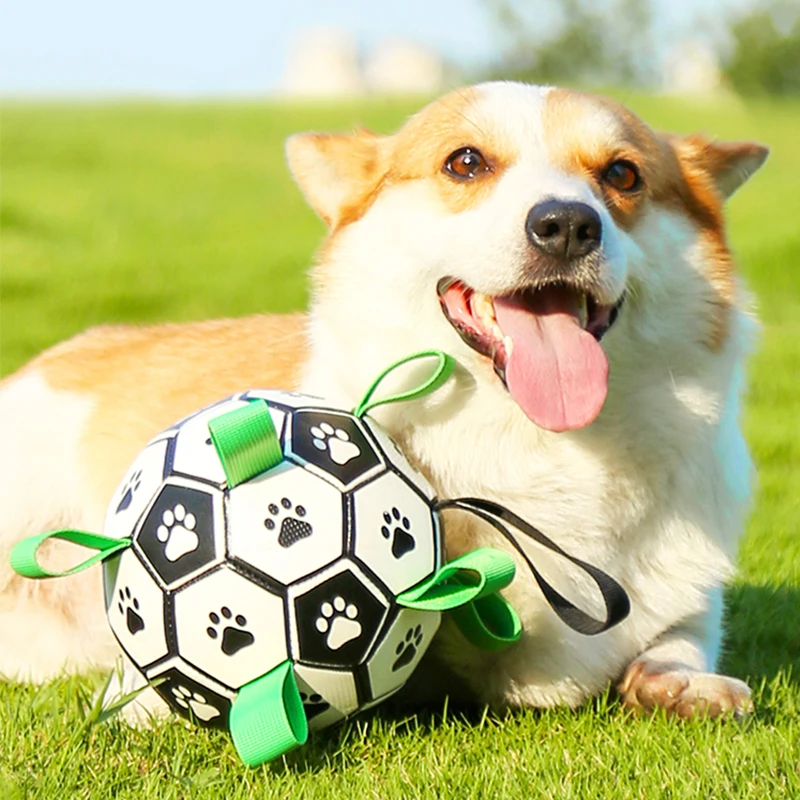 

Dog Toys - Dog Football with Straps for Interactive Fetch & Tug Games. Durable Dog Ball Toy for Water, Garden & Outdoors