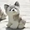 Изображение товара 0