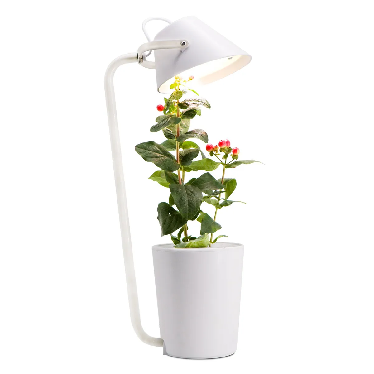 Набор для выращивания растений Soilless Smart Herb Garden светодиодный светильник