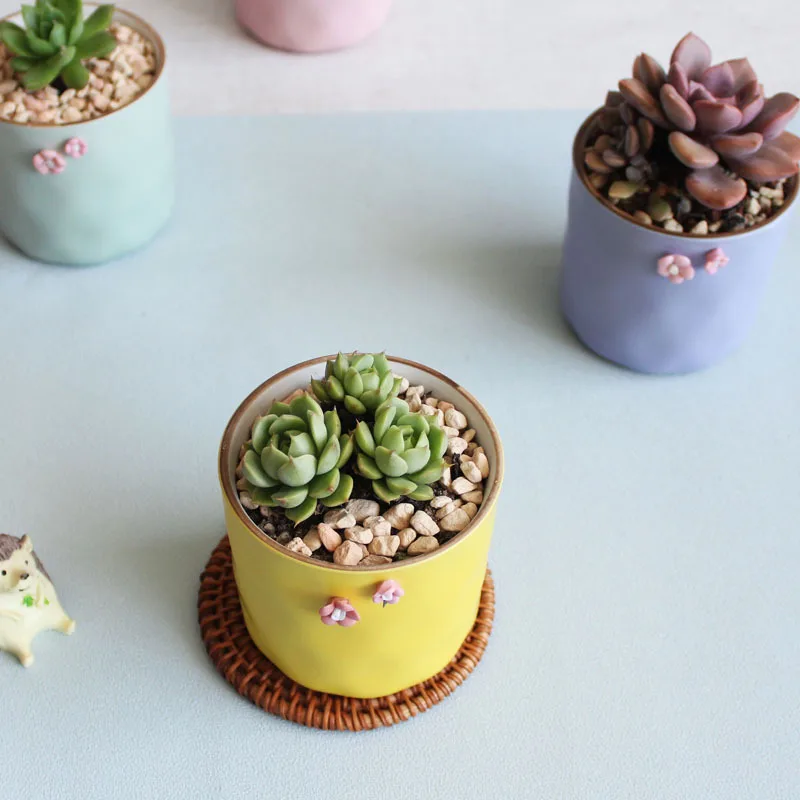 Цветочный горшок керамический цветочный для суккулентных растений современный